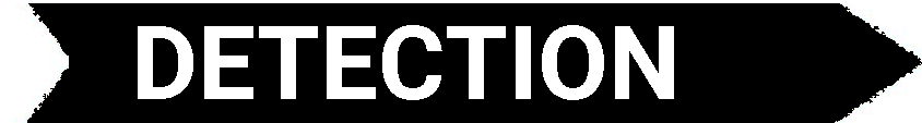 Detection